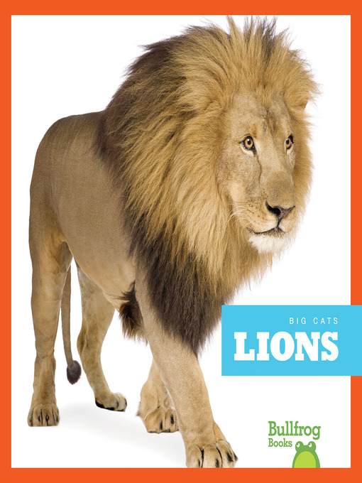 Cover image for book: Lions